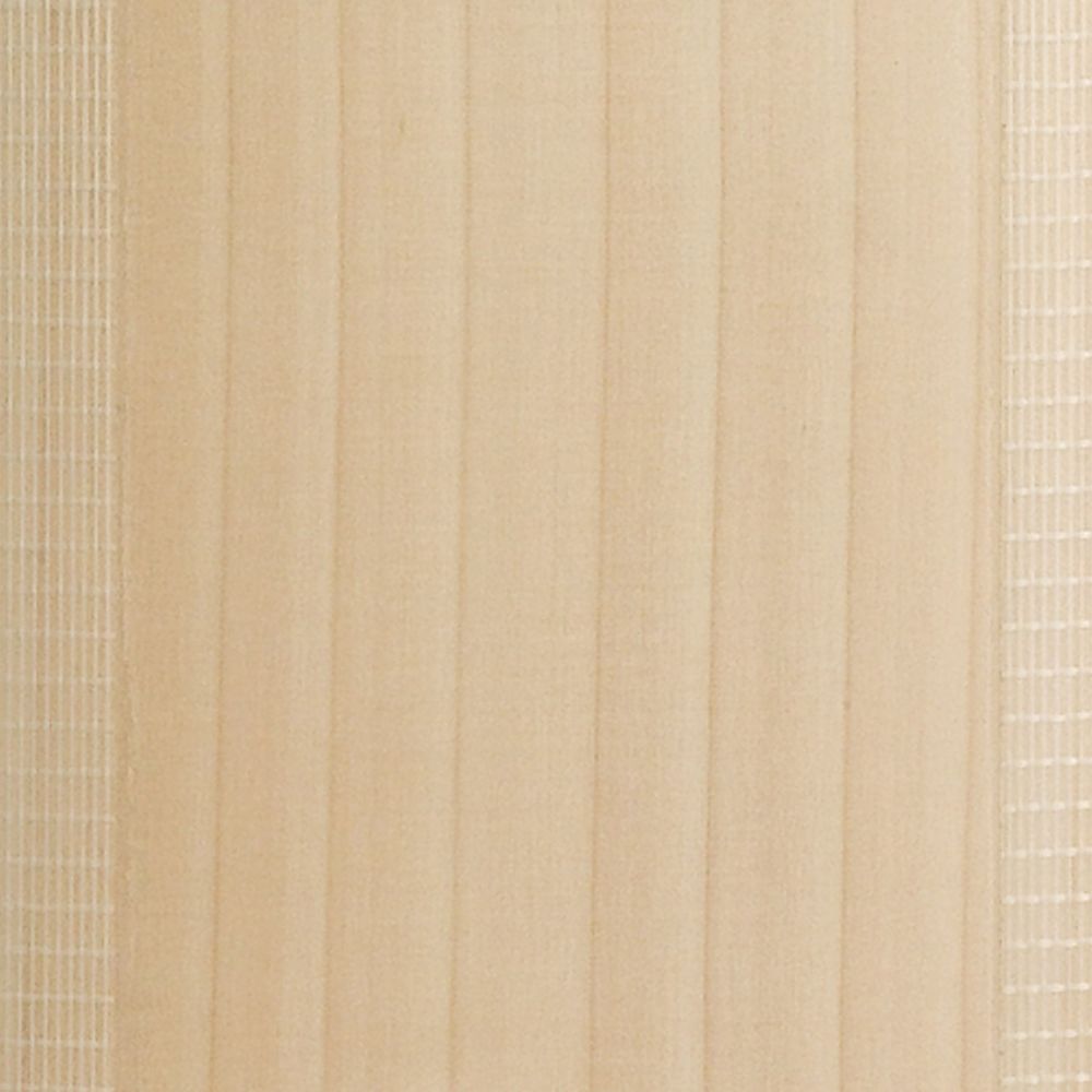 Gray-Nicolls Cricket Bladetec