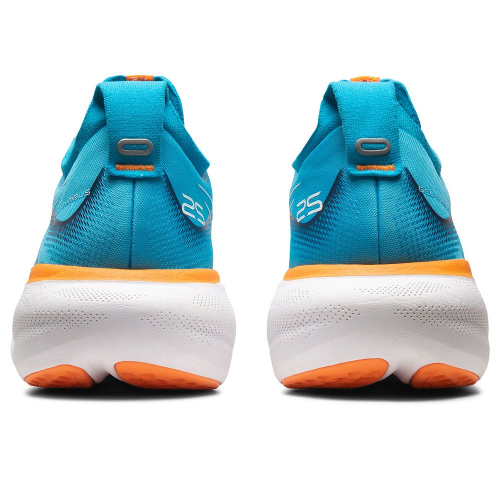 ASICS Gel-Nimbus 25 Mens Running Shoes