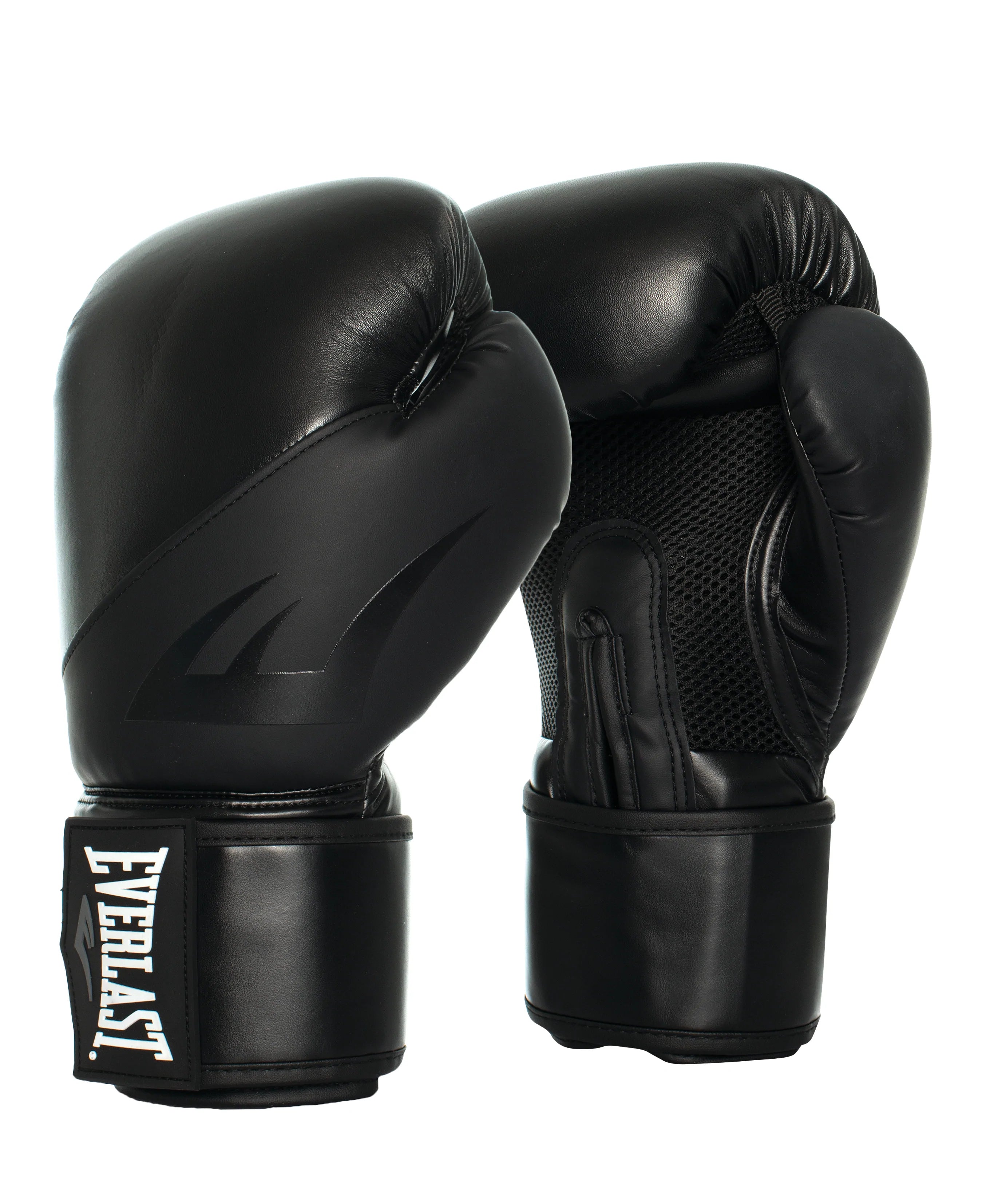 Everlast Ex Boxing Glove