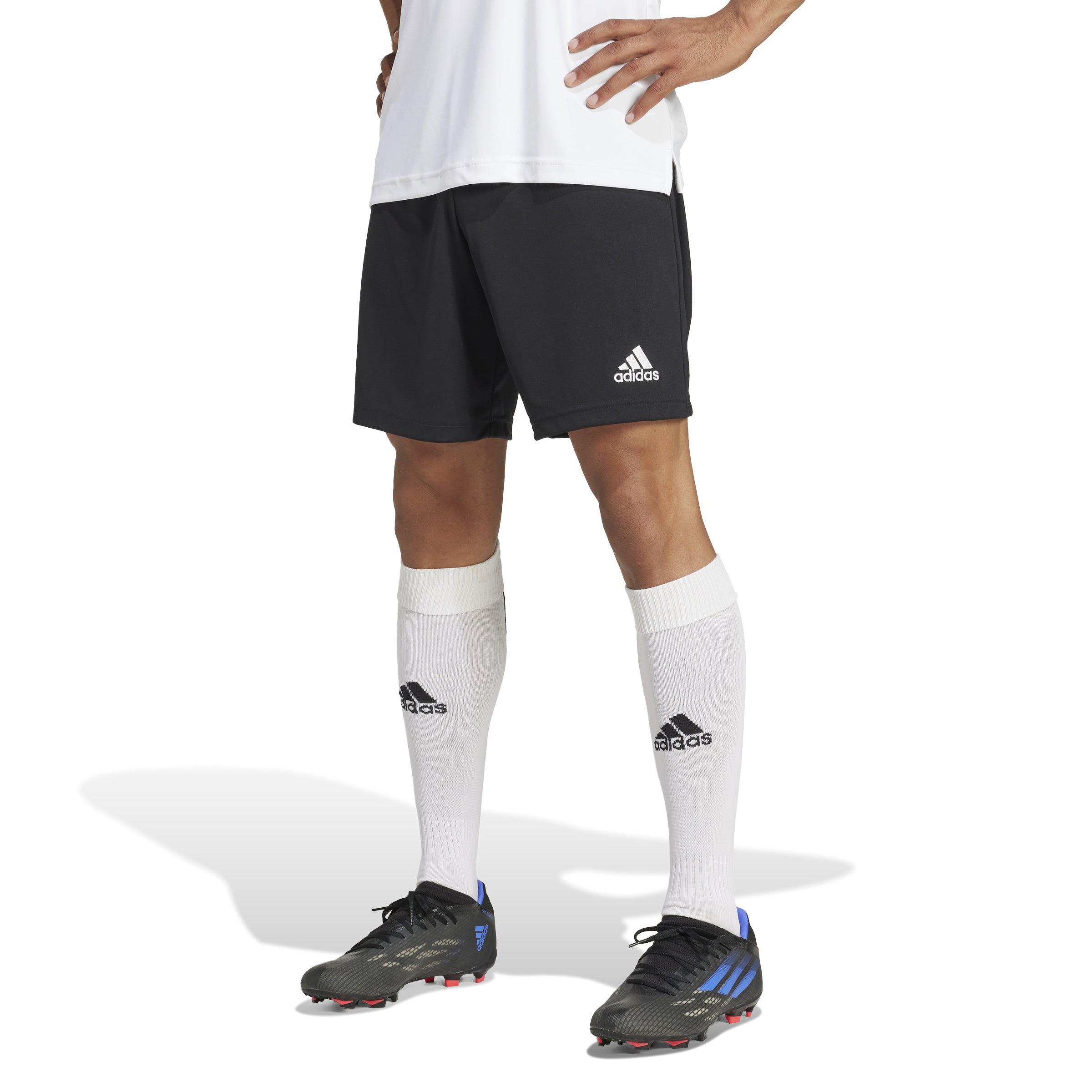 adidas Entrada 22 Mens Shorts