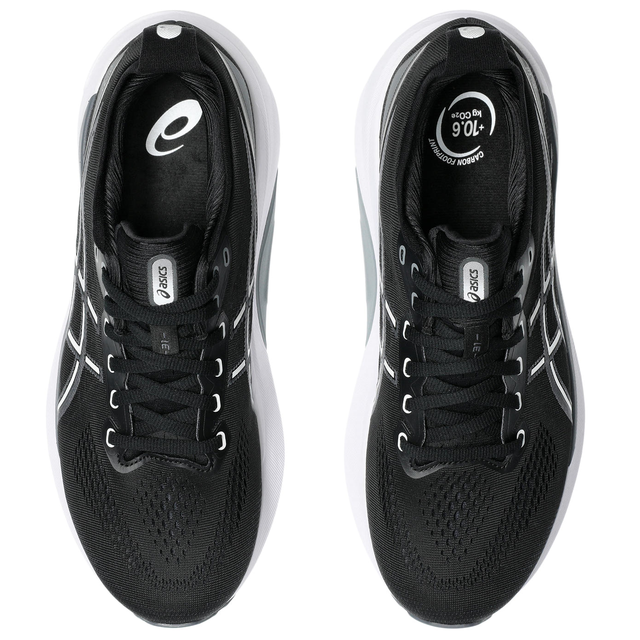ASICS GEL-KAYANO 31 2E Mens Running Shoes
