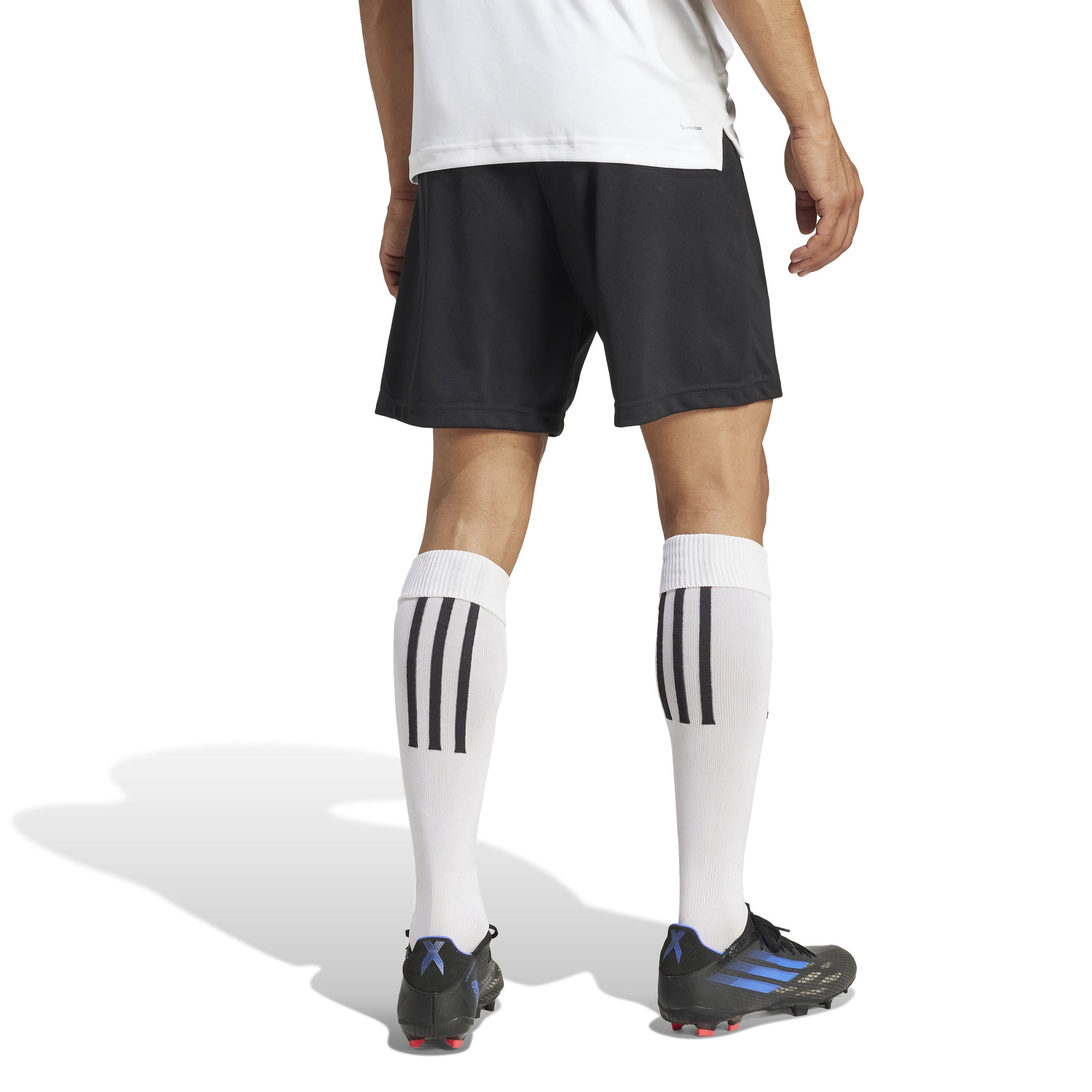 adidas Entrada 22 Mens Shorts