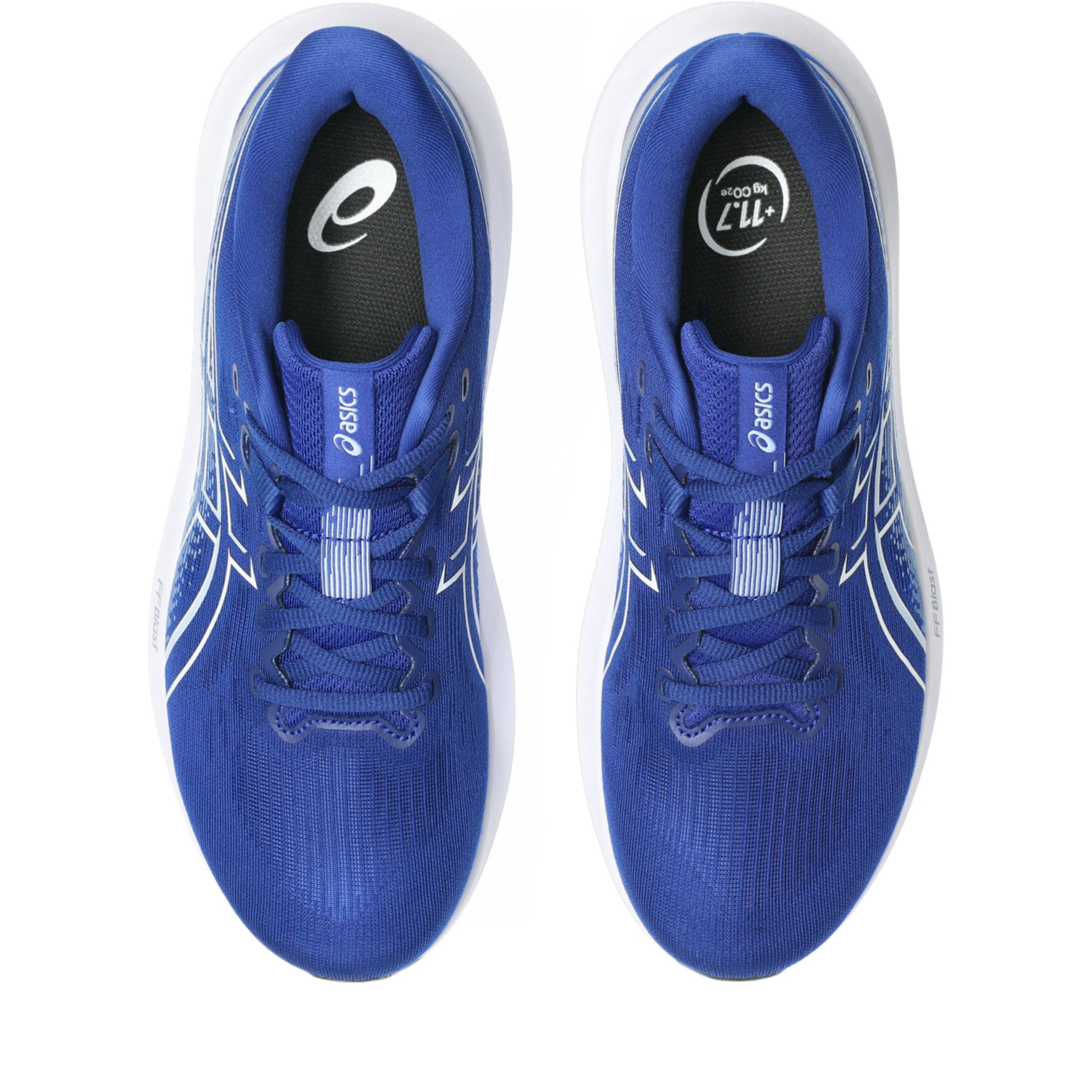 ASICS GT-1000 15 Mens Running Shoes