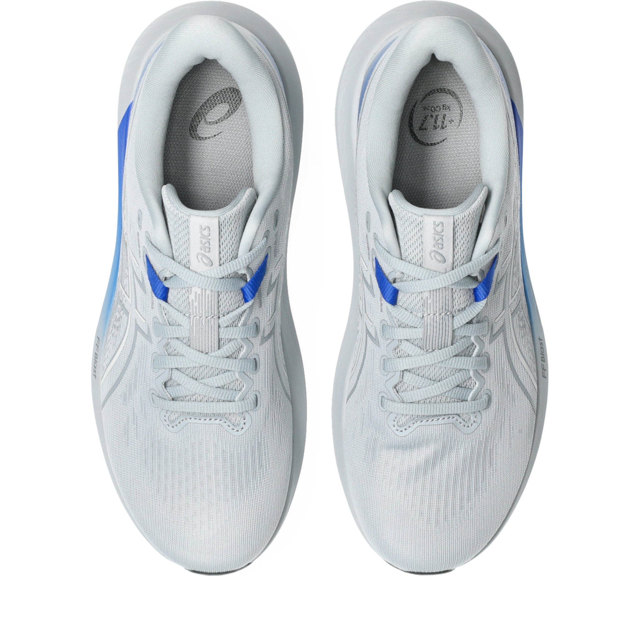 ASICS GT-1000 15 4E Mens Running Shoes
