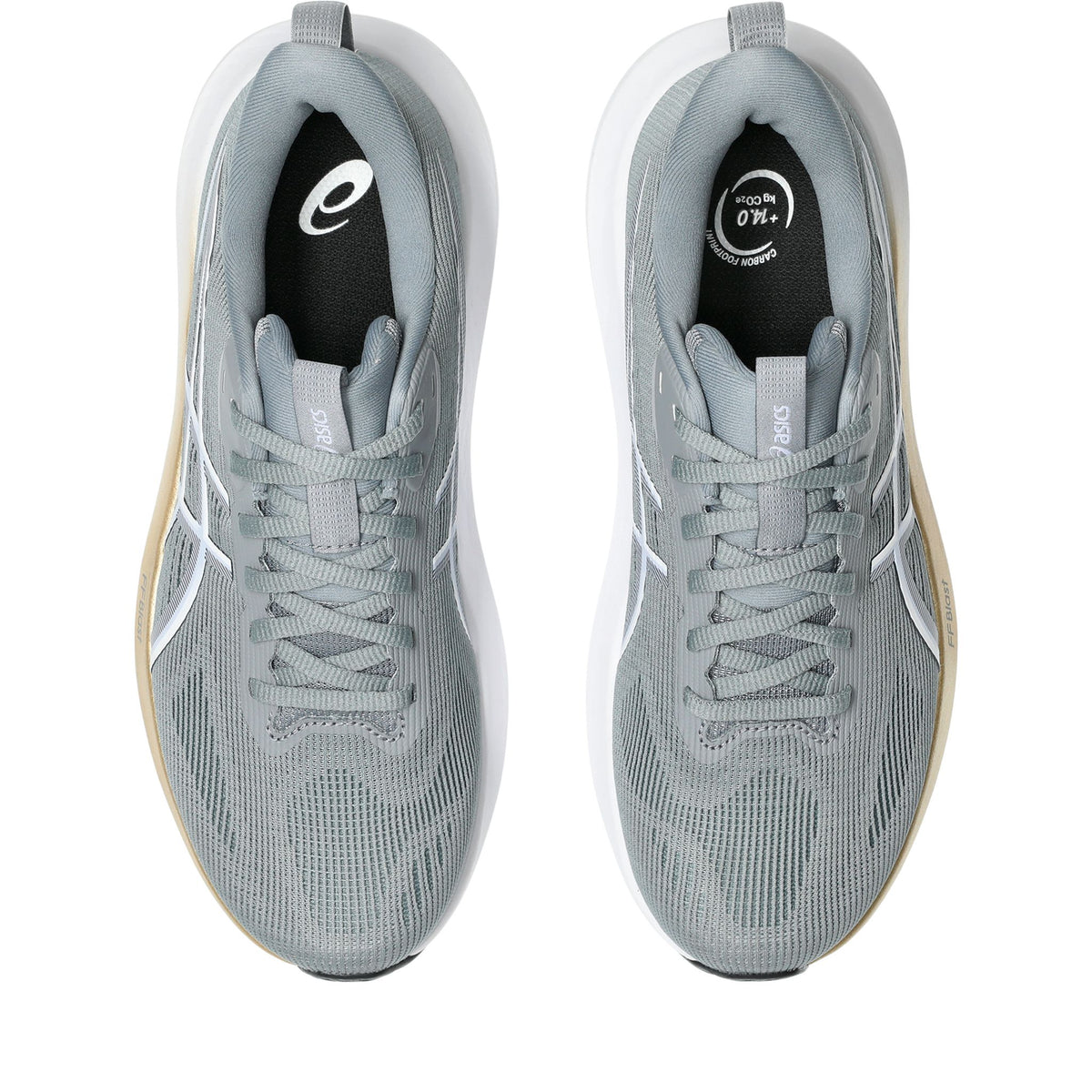 ASICS GT-1000 14 D Womens Running Shoes