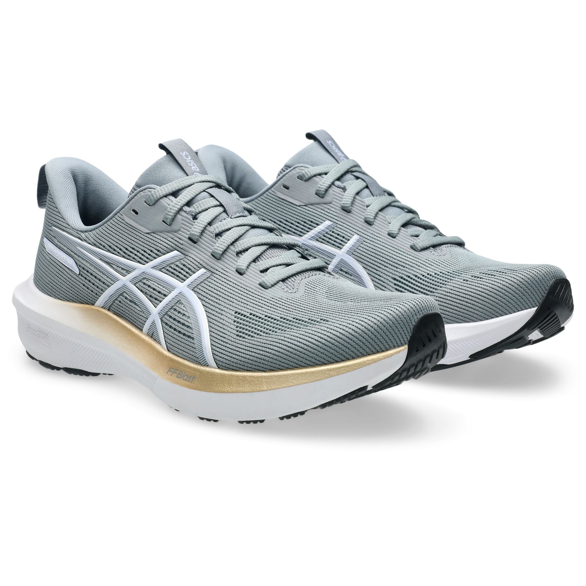 ASICS GT-1000 14 D Womens Running Shoes