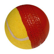 Gray-Nicolls Swing Cricket Ball