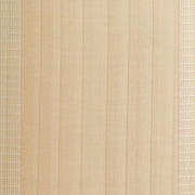 Gray-Nicolls Cricket Bladetec