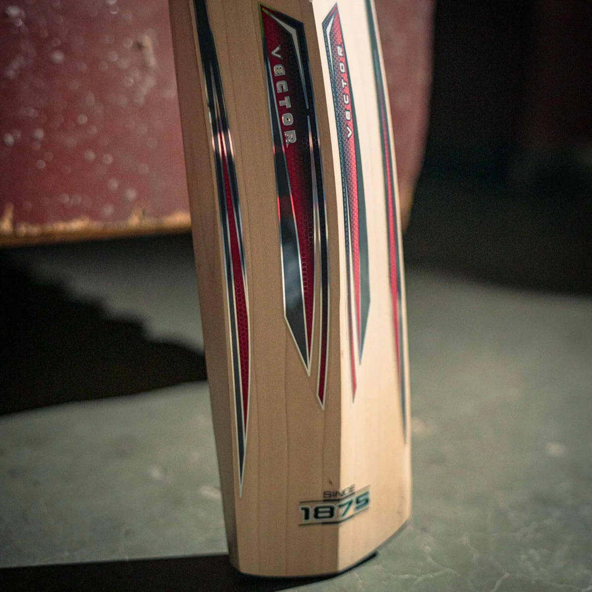 Gray-Nicolls Vector 650 Cricket Bat