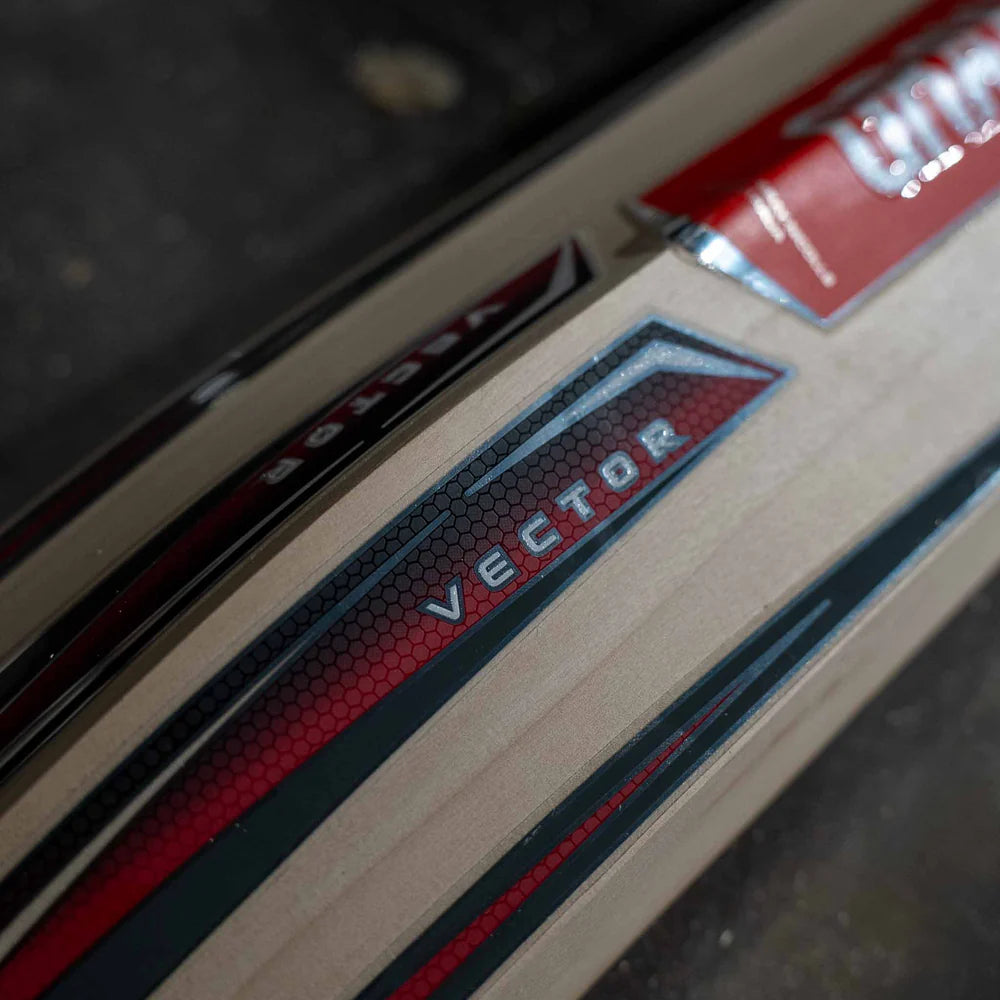 Gray-Nicolls Vector 950 Play Now Junior Cricket Bat