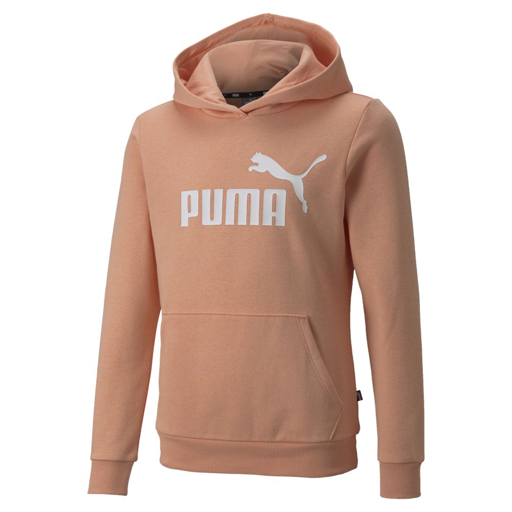 Puma Essentials Logo Girls Fleece Hoodie