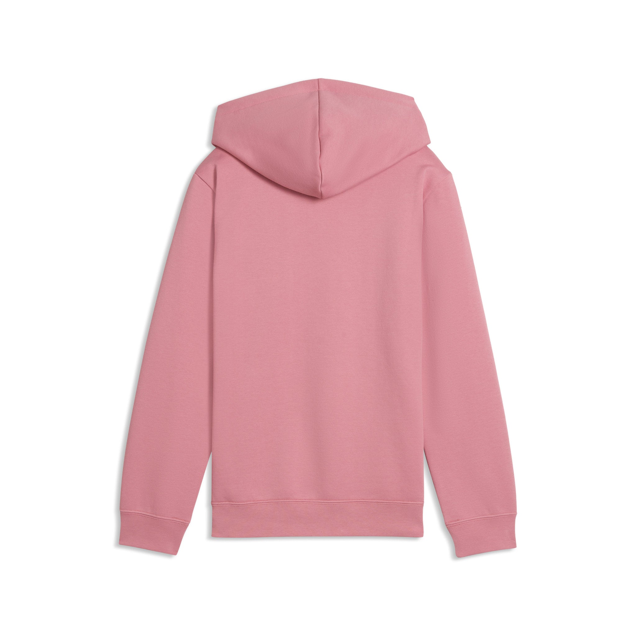 PUMA Essentials No.1 Logo Girls Hoodie