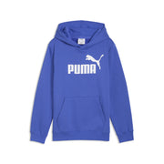 PUMA Essentials No.1 Logo Boys Hoodie