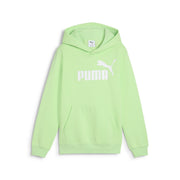 PUMA Essentials No.1 Logo Kids Hoodie