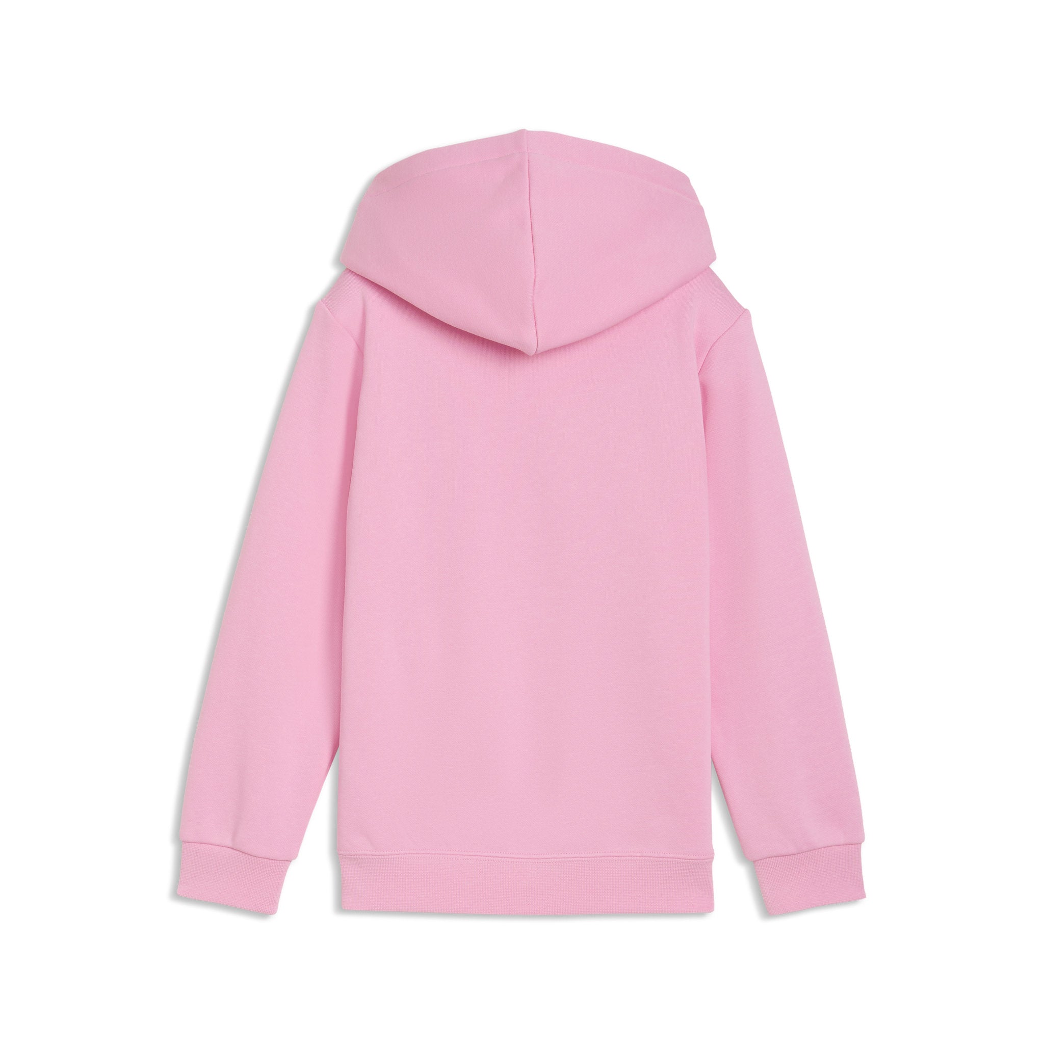 PUMA Essentials No.1 Logo Boys Hoodie