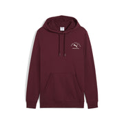 PUMA Class Graphic Mens Fleece Hoodie