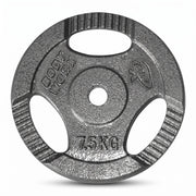 Bodyworx Ezy Grip Cast Iron Weight Plate – 7.5kg