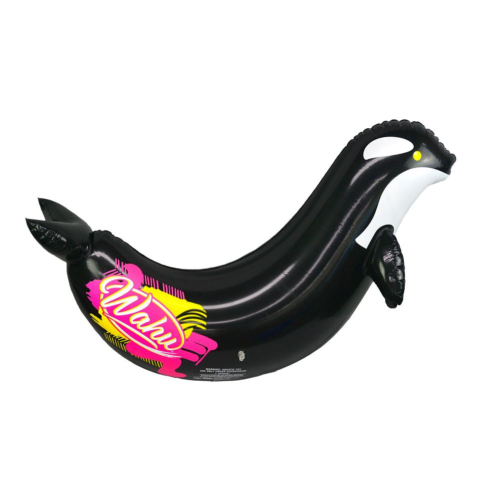 Orca Racer