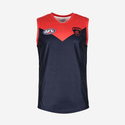 AFL Melbourne Demons Youth Replica Jersey