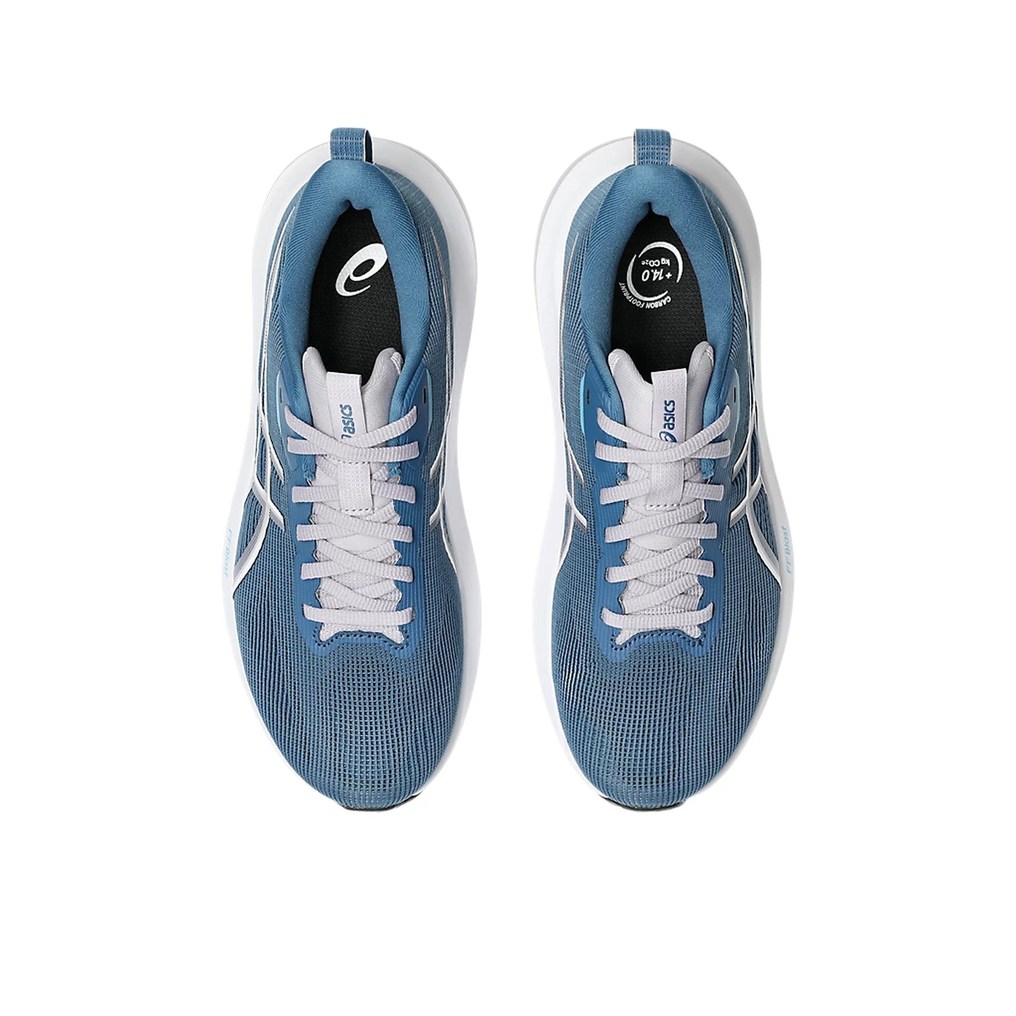 ASICS GT-1000 14 Womens Running Shoes