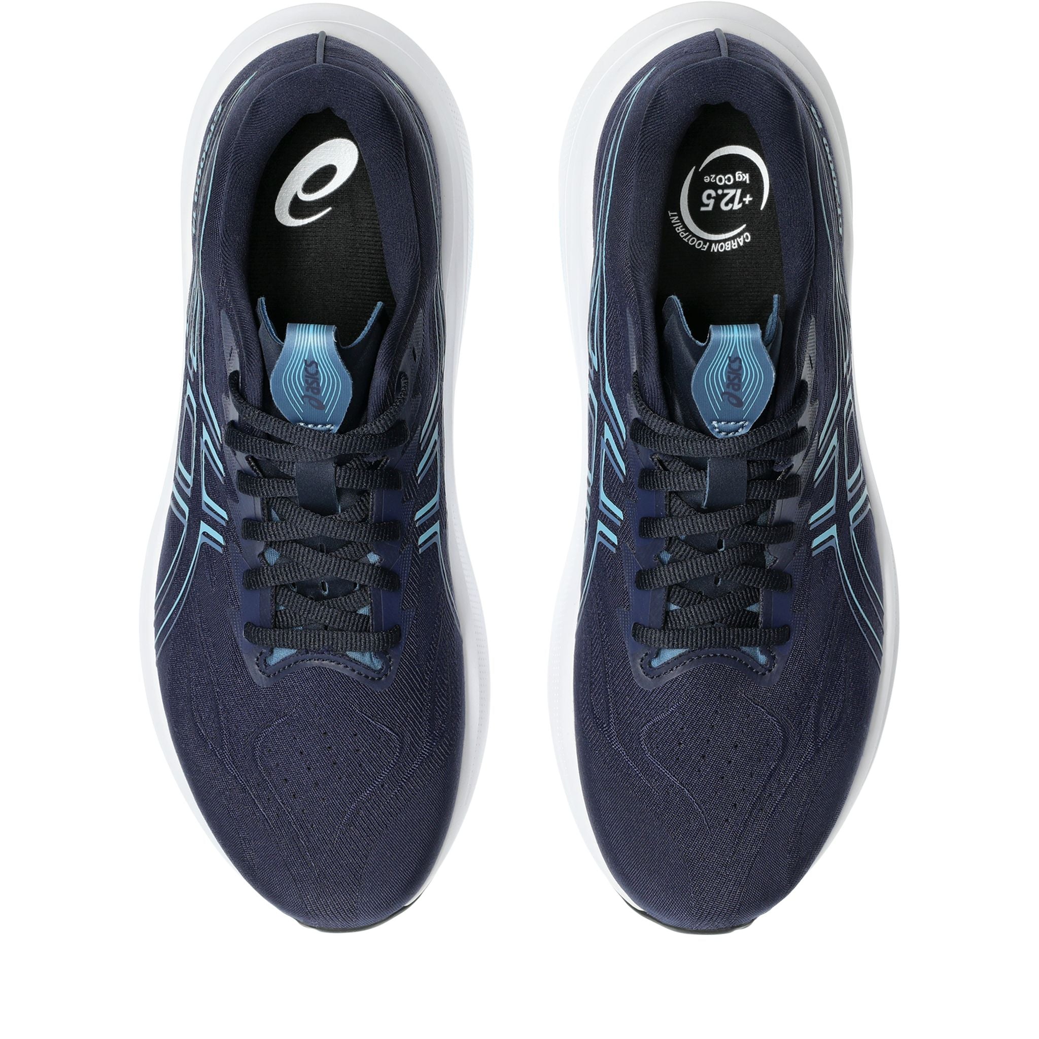 ASICS GT-2000 14 2E Mens Running Shoes