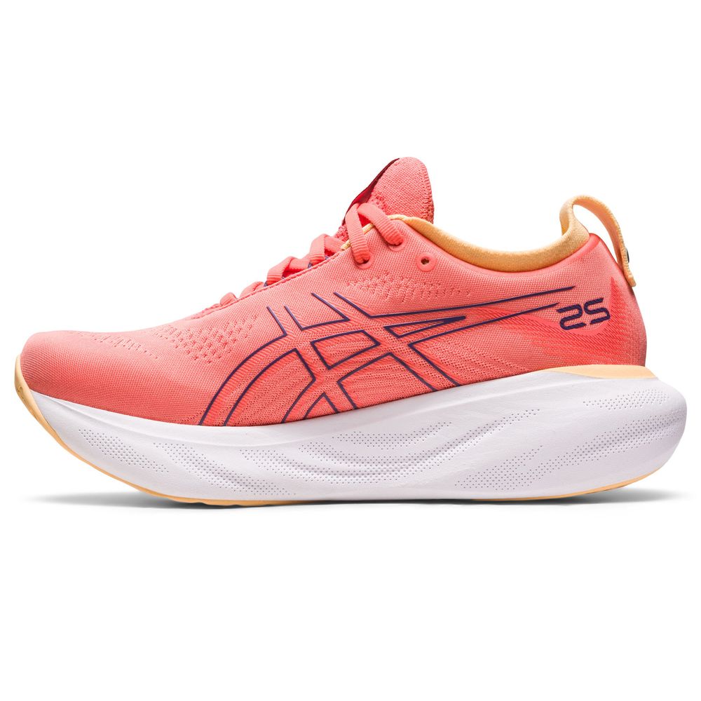 ASICS Gel-Nimbus 25 Womens Running Shoes