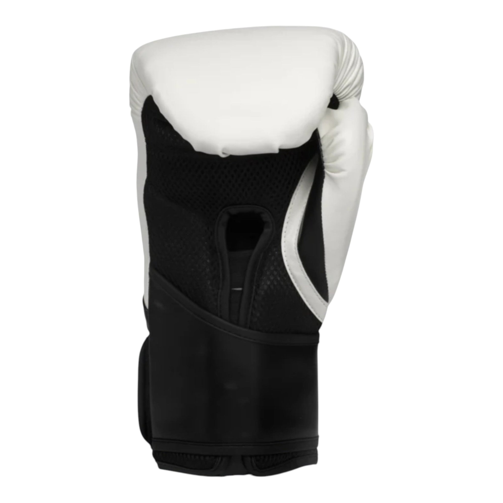 Everlast Elite2 Training Boxing Gloves