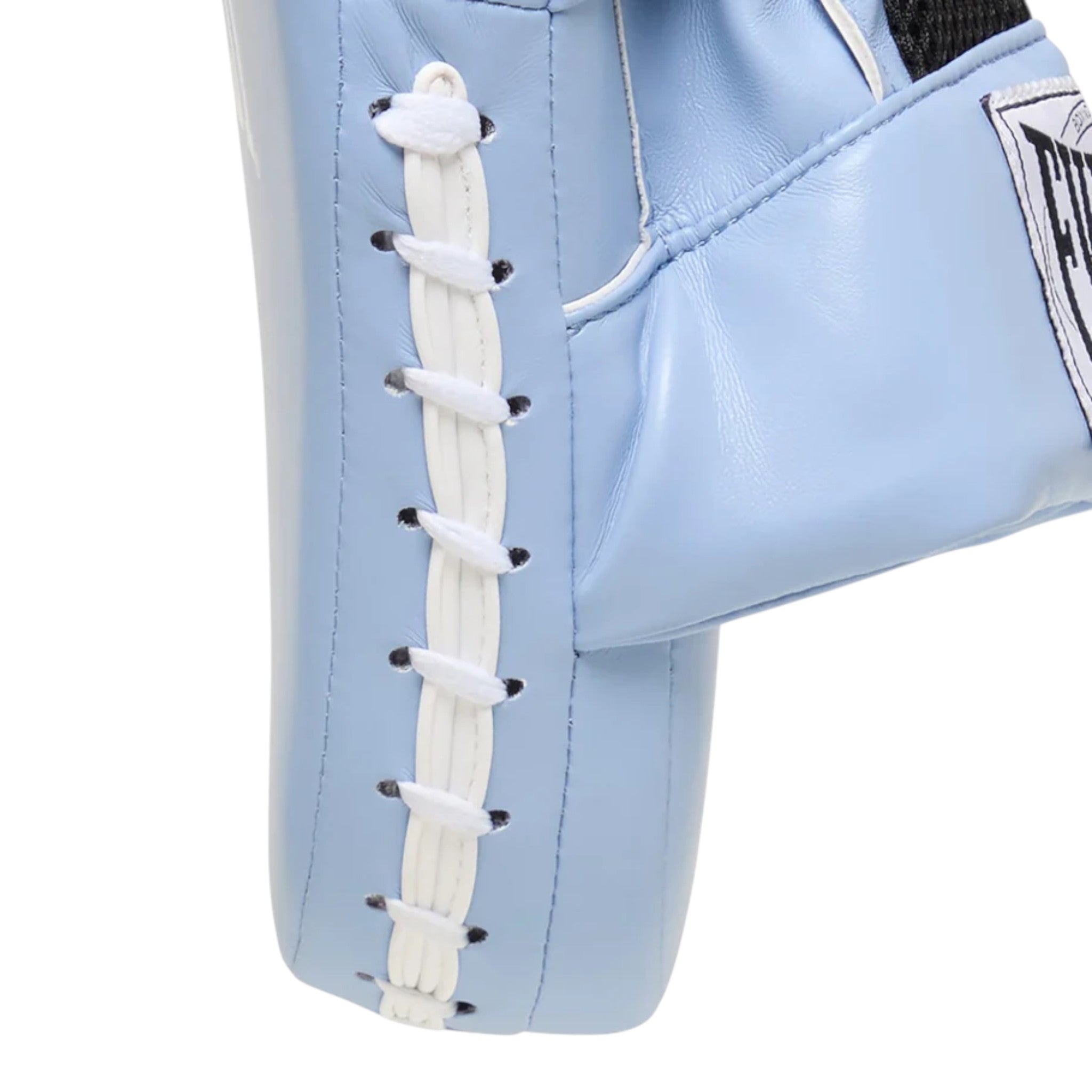 Everlast 1910 Mitt Kit 10oz