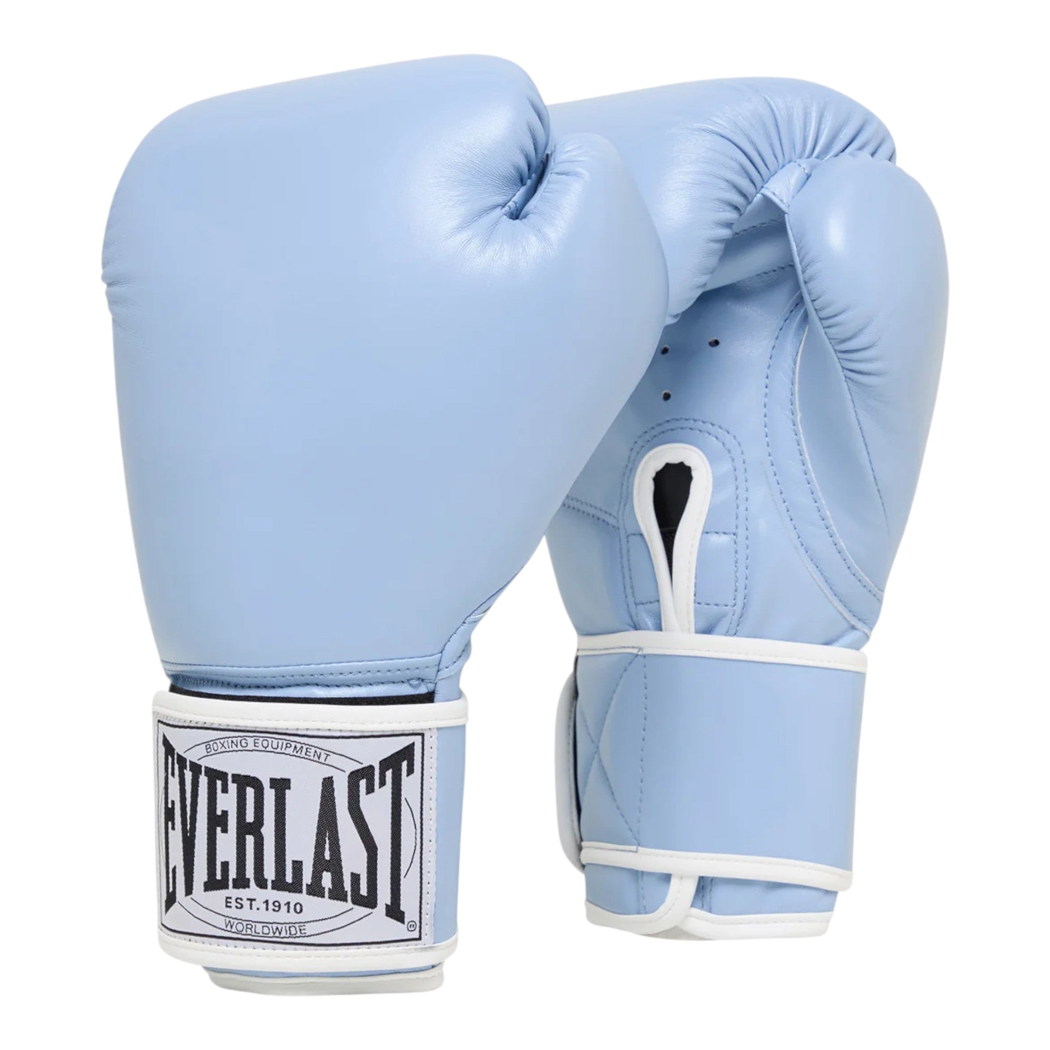 Everlast 1910 Mitt Kit 10oz