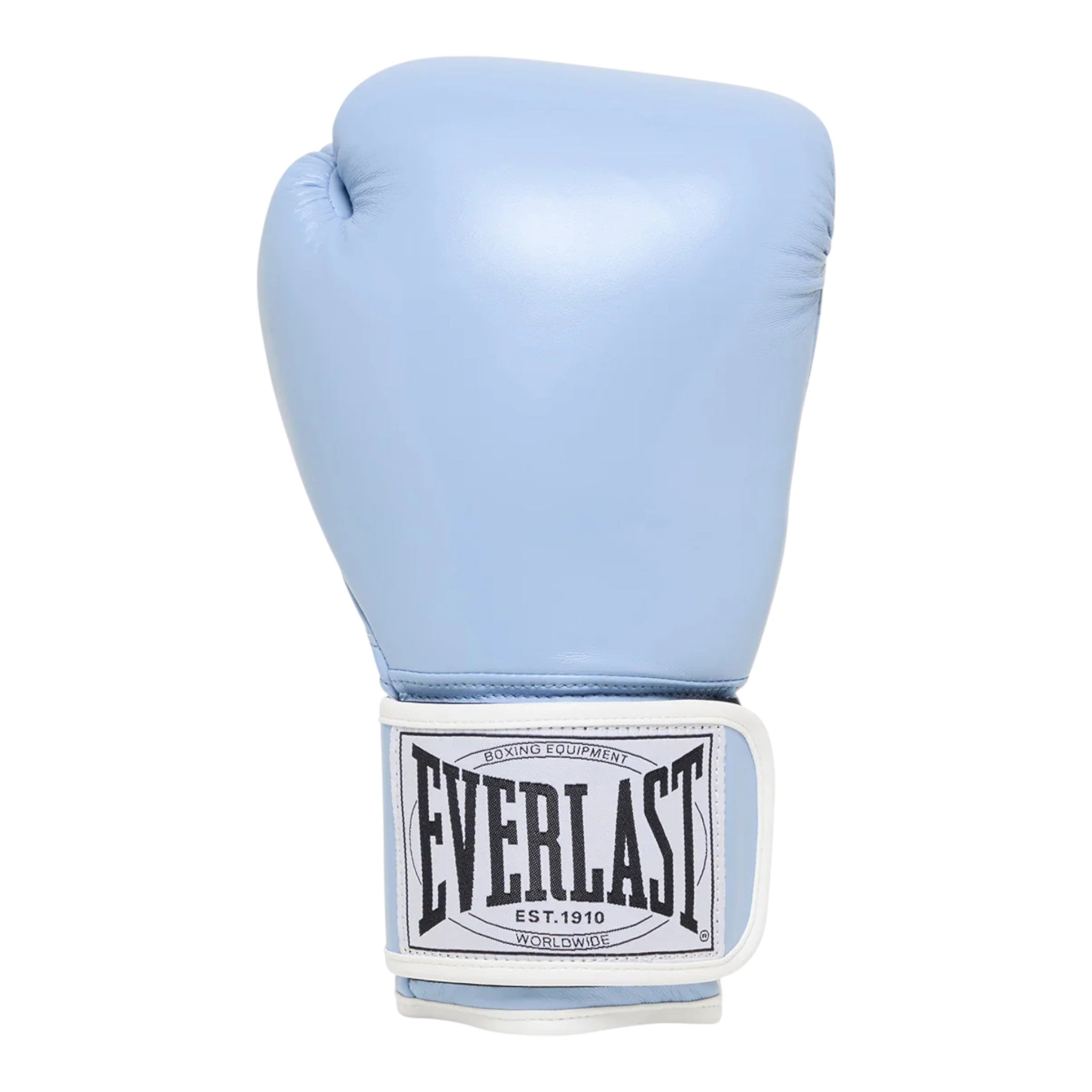 Everlast 1910 Mitt Kit 10oz