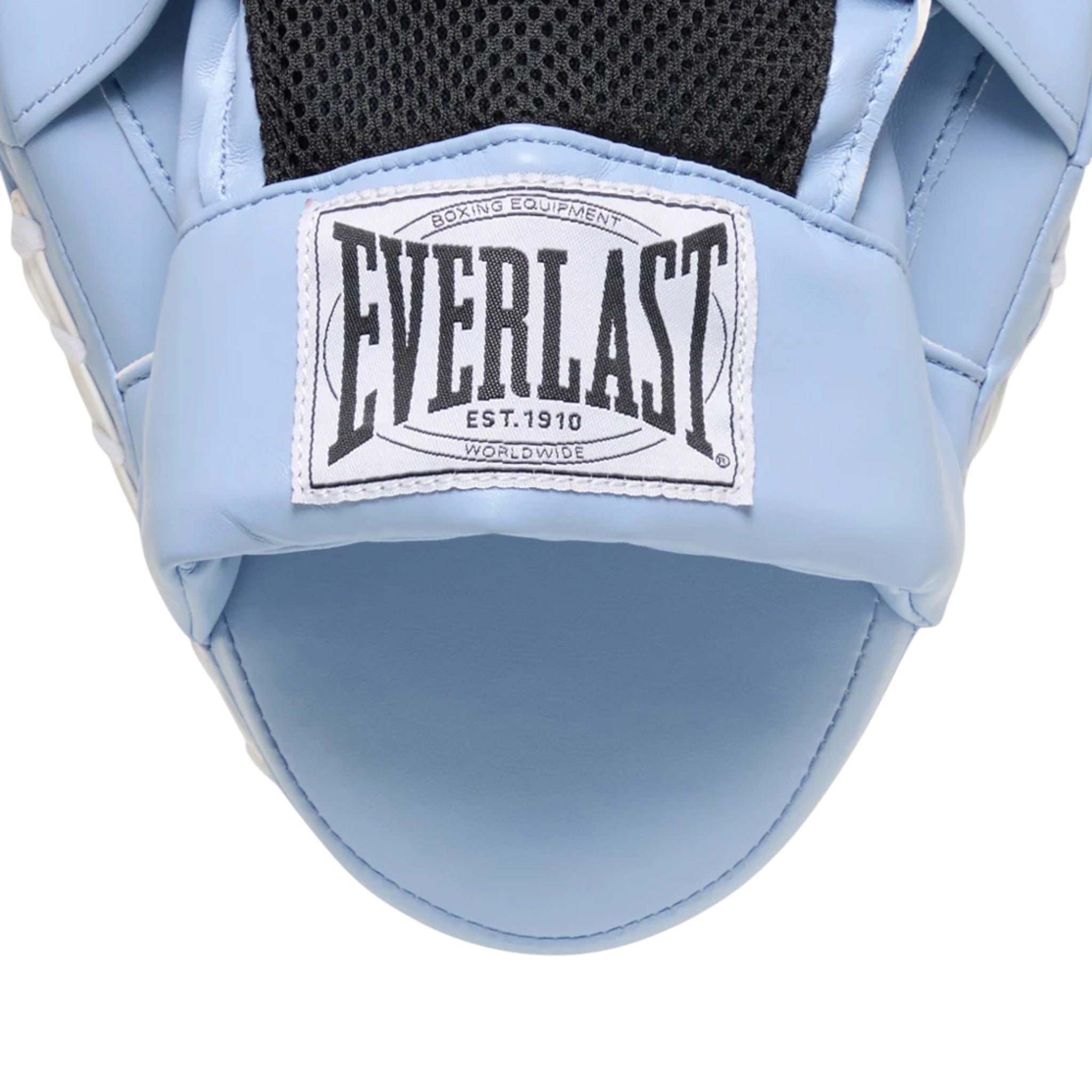 Everlast 1910 Mitt Kit 10oz