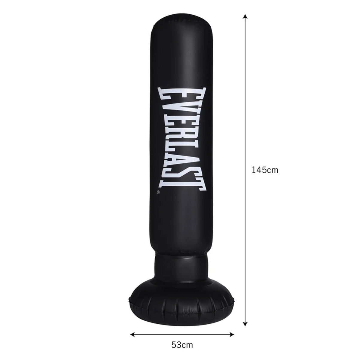 Everlast Inflatable Punching Bag
