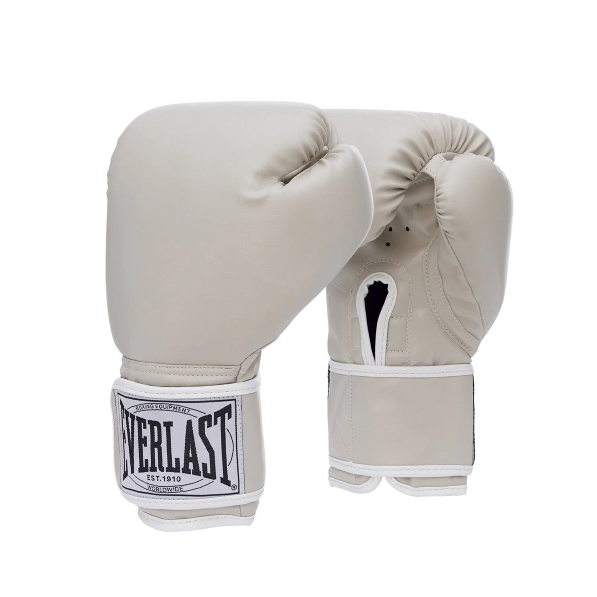 Everlast 1910 Mitt Kit 10 Oz