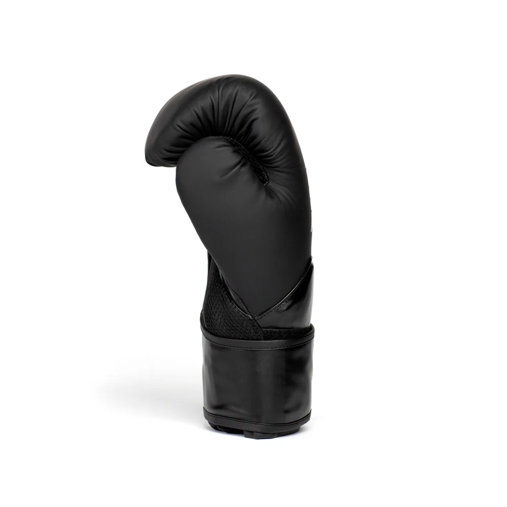 Everlast Elite 2 Boxing Gloves 12oz