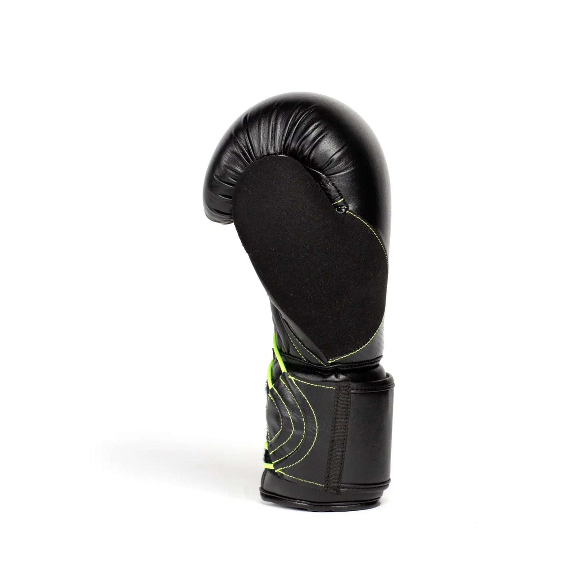 Everlast Protex Bloxing Gloves