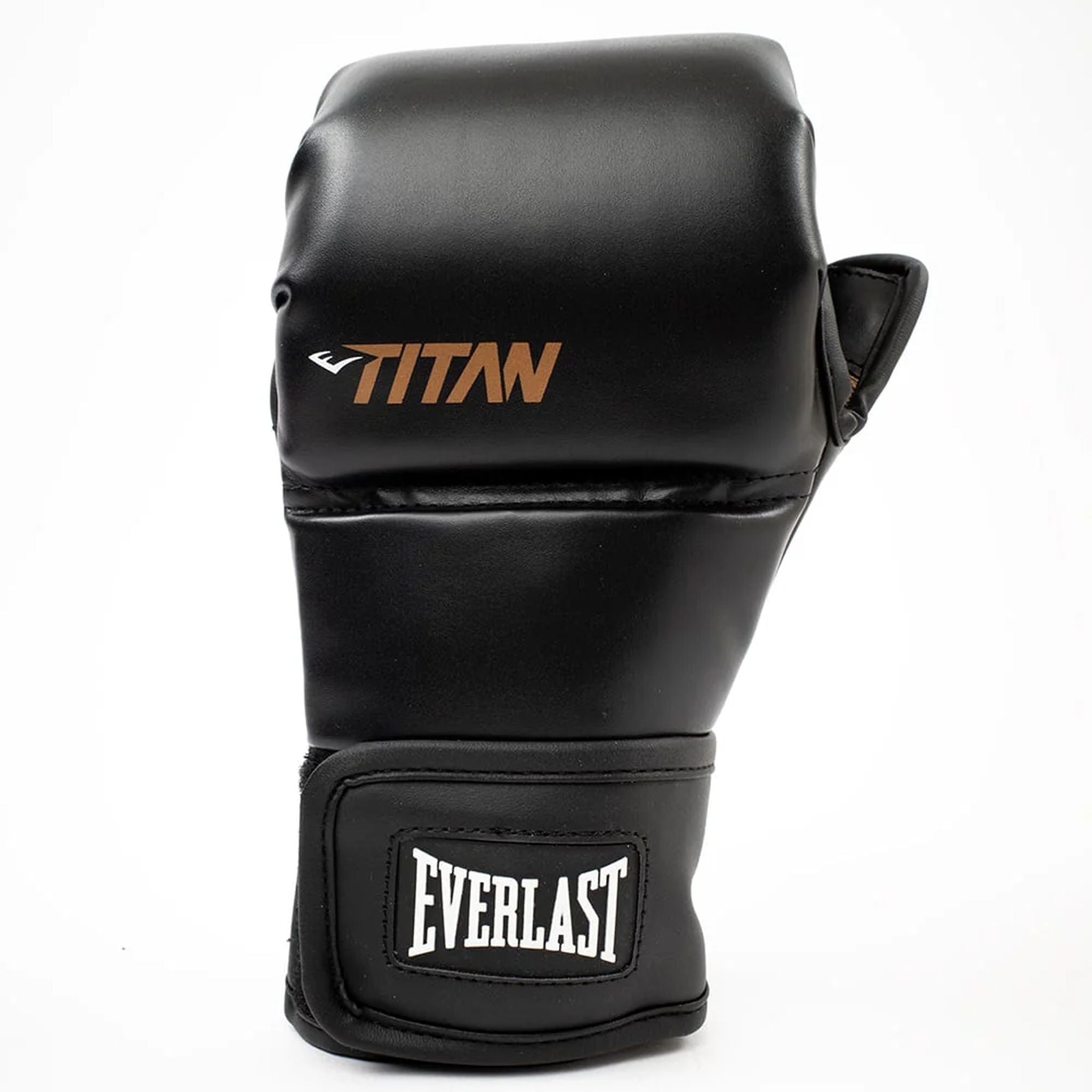 Everlast Titan Hybrid Boxing Gloves