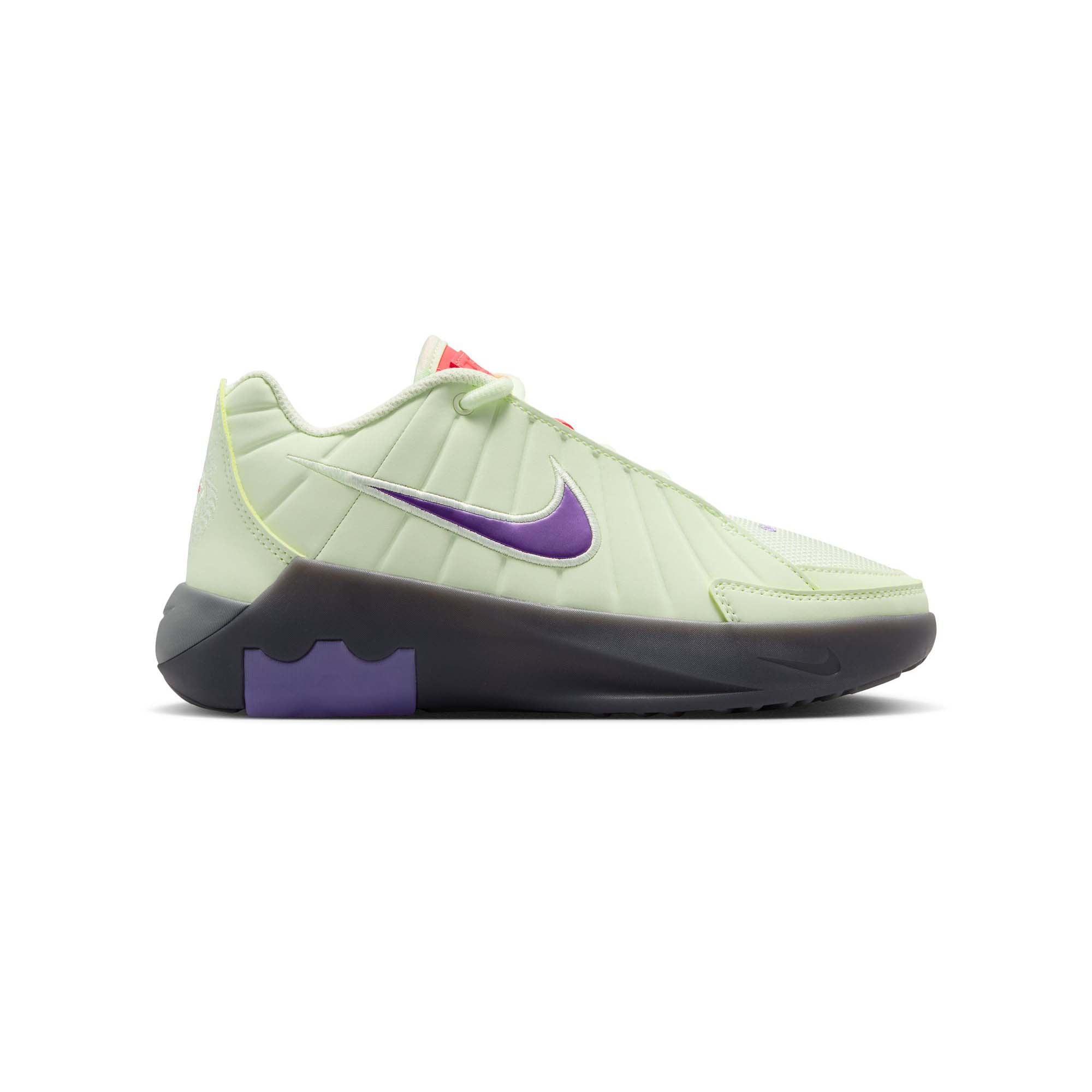 Nike Lebron Witness IX GS Kids Basketball Shoes