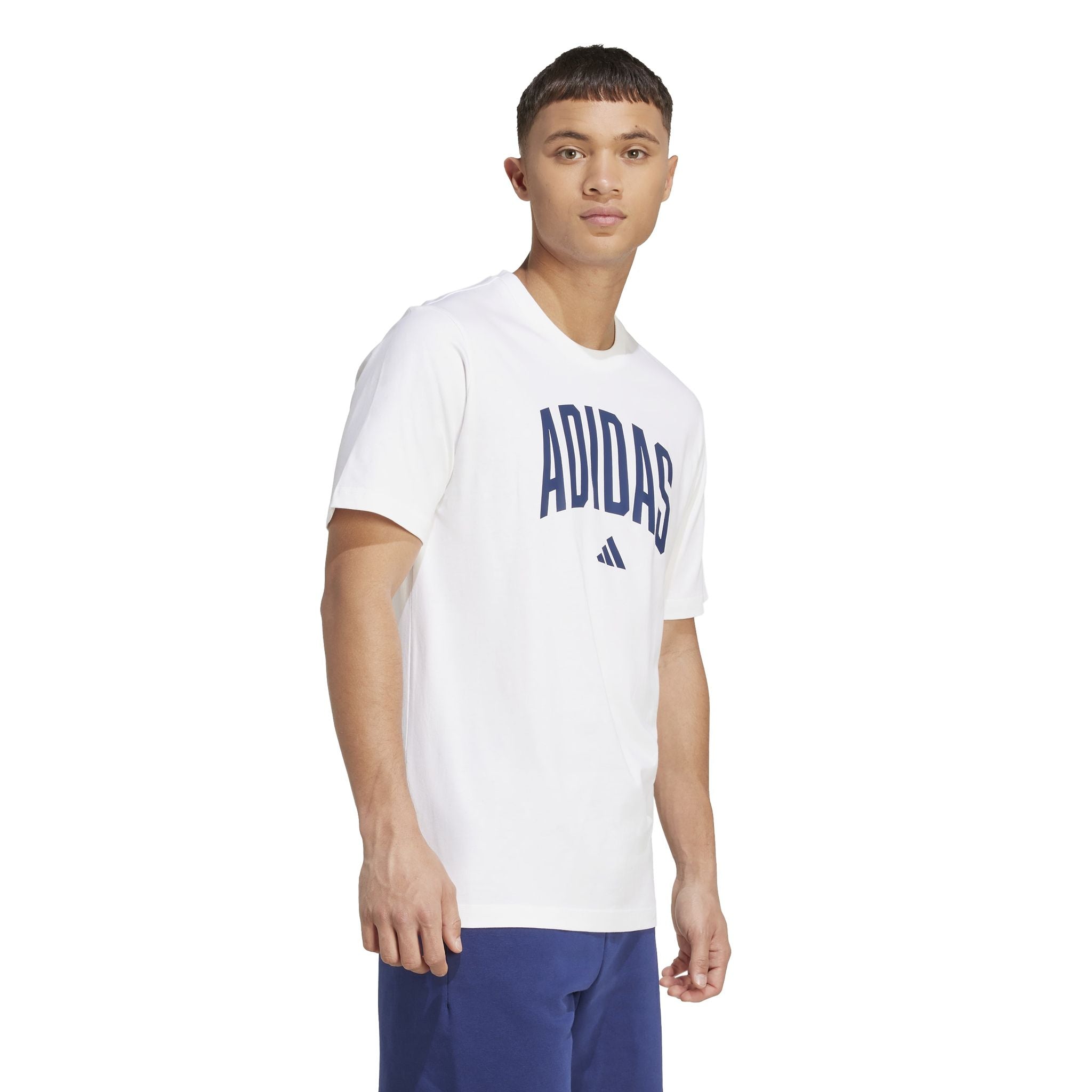 adidas Collegiate Lineage Graphic Mens Tee
