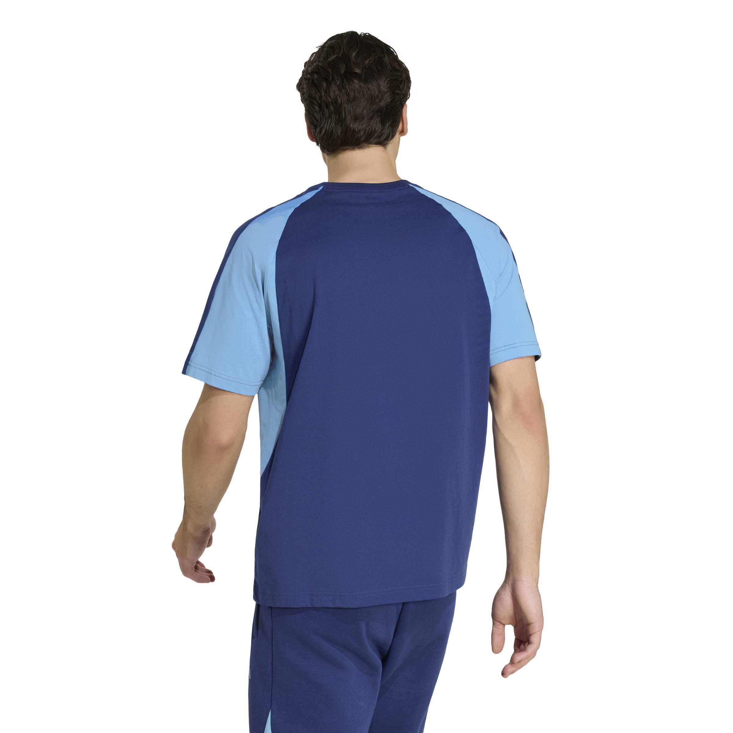 adidas NSW Blues Colorblock Mens Tee