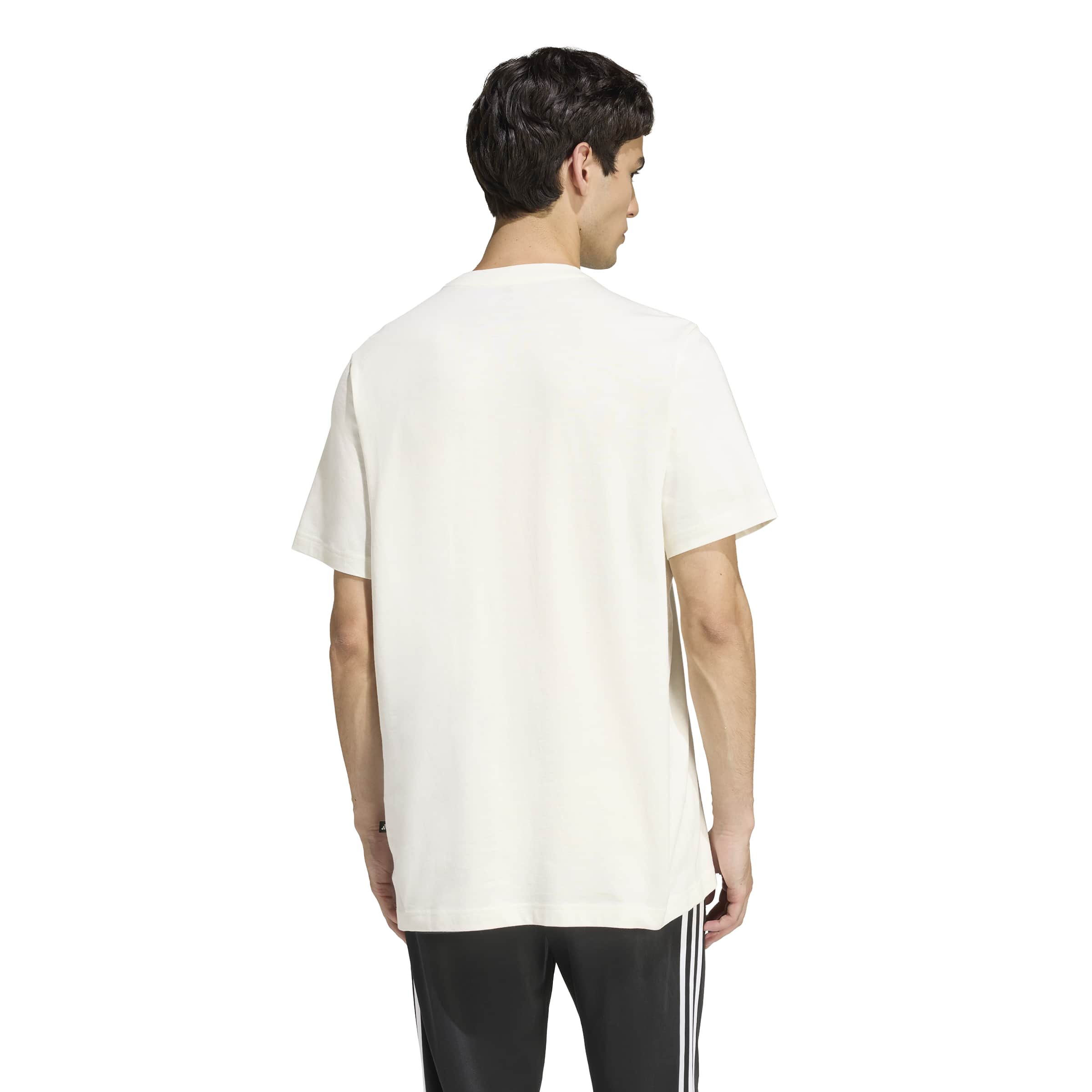 adidas Stadium Collegiate Mens Tee