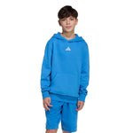 adidas Essentials Kids Hoodie