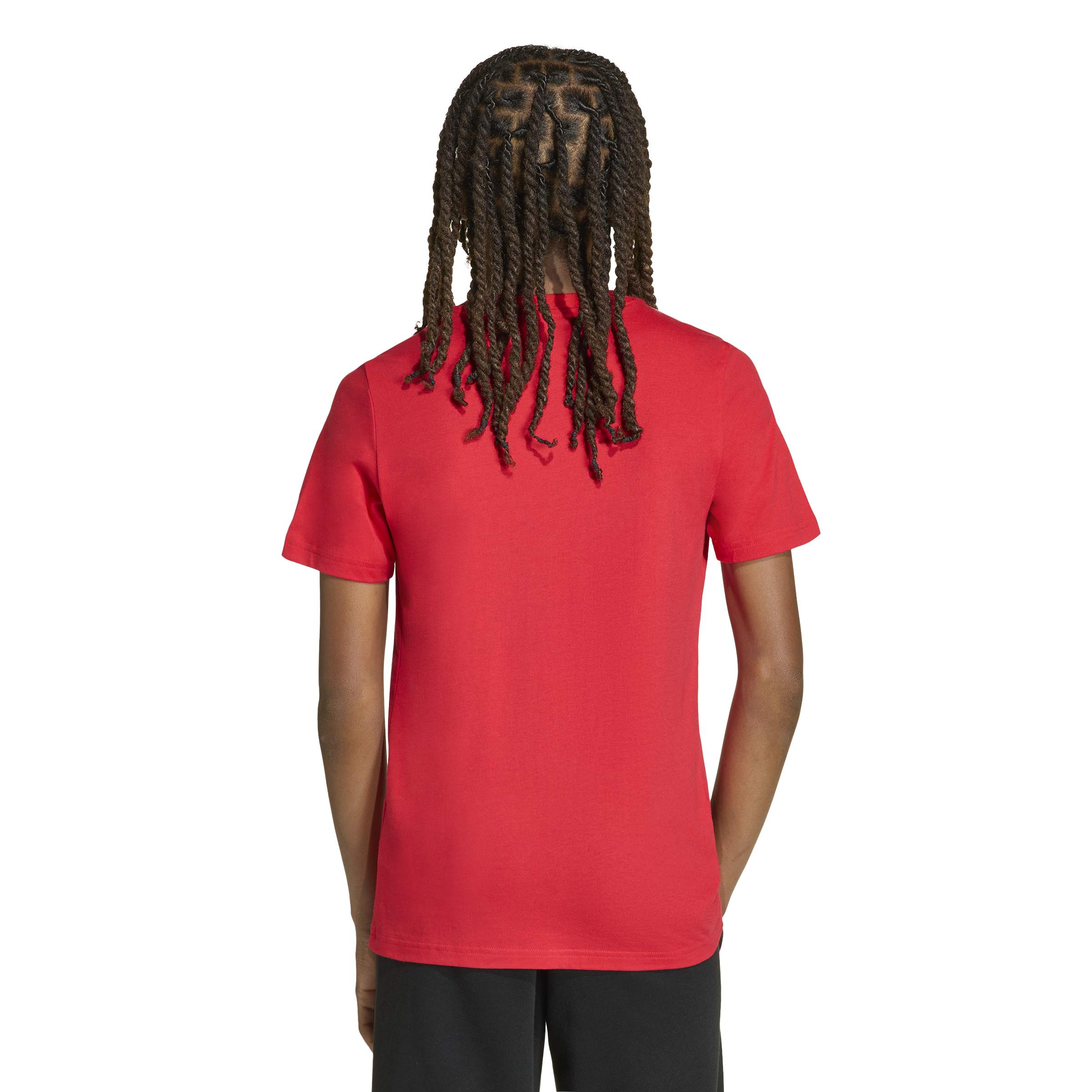adidas Collegiate Kids Graphic Tee