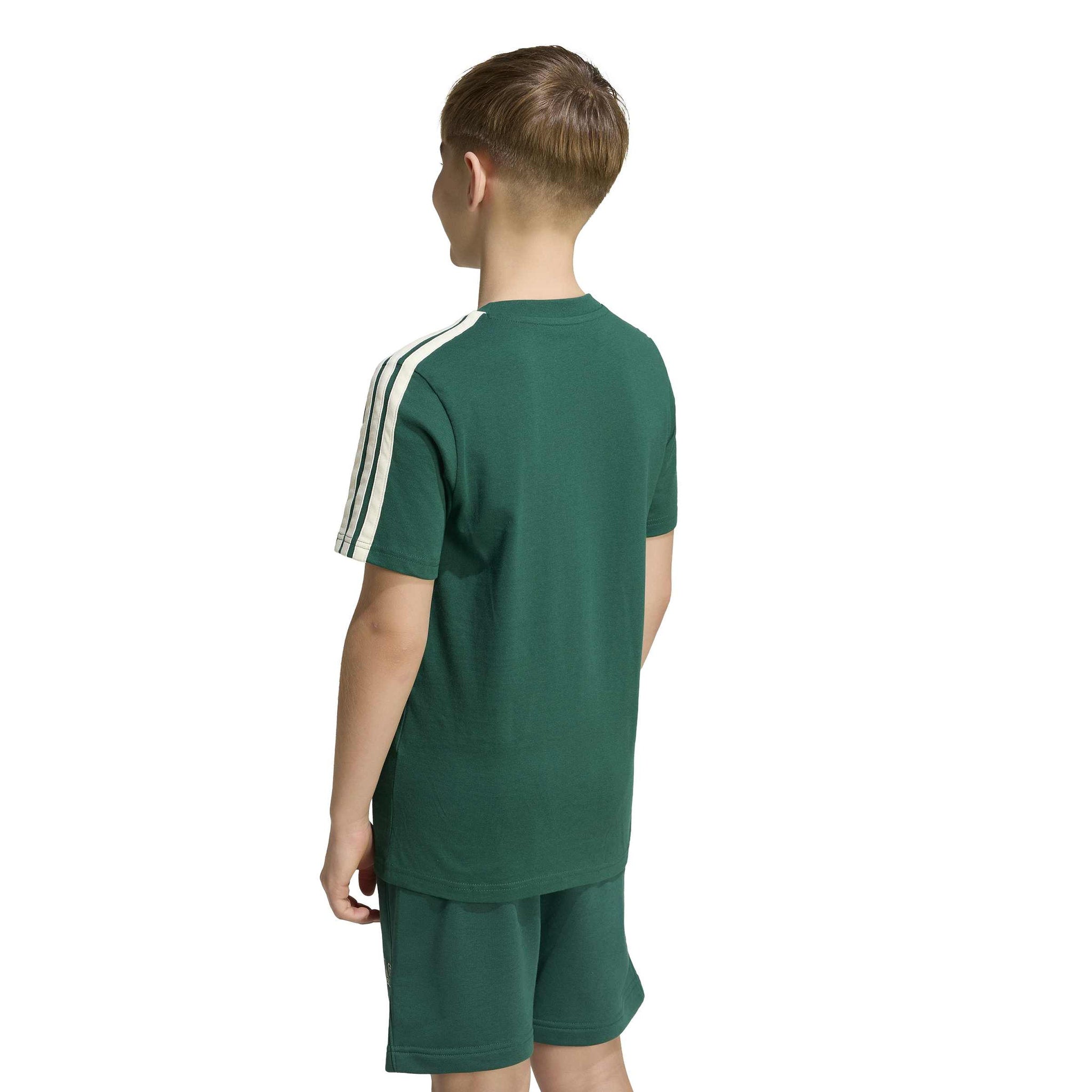 adidas Collegiate Graphic Kids Tee