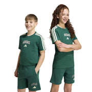 adidas Collegiate Graphic Kids Tee