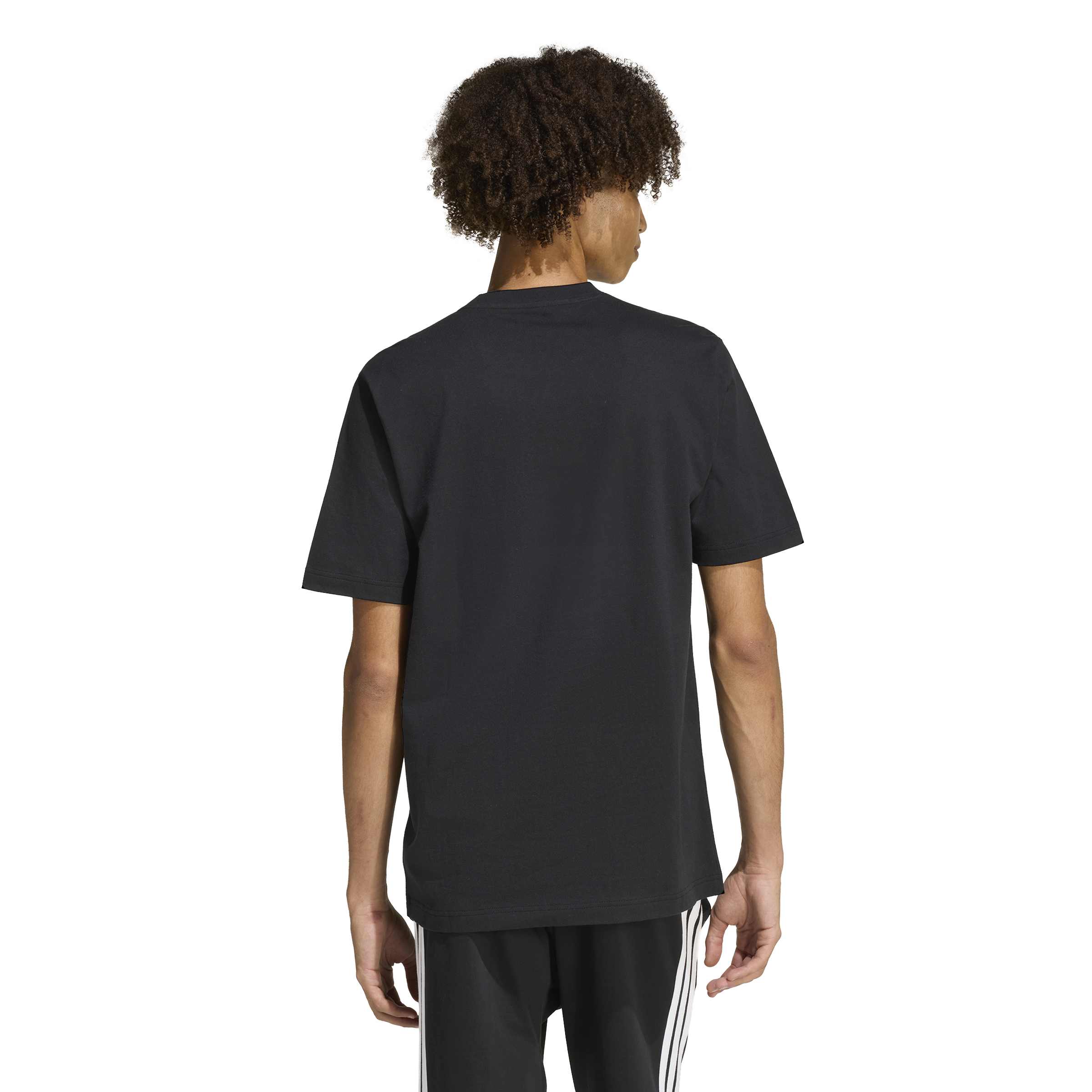 adidas Motorsport Linear Mens Graphic Tee