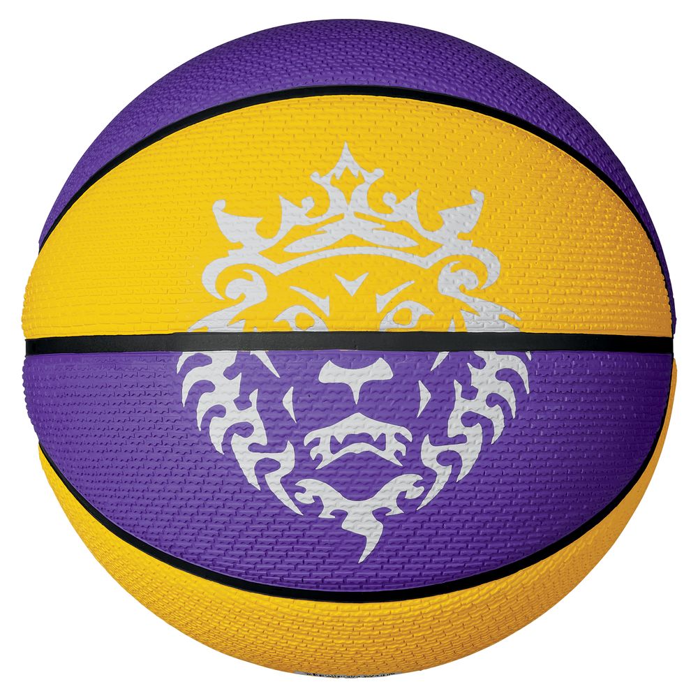 Nike LeBron James Playground Outdoor Basketball