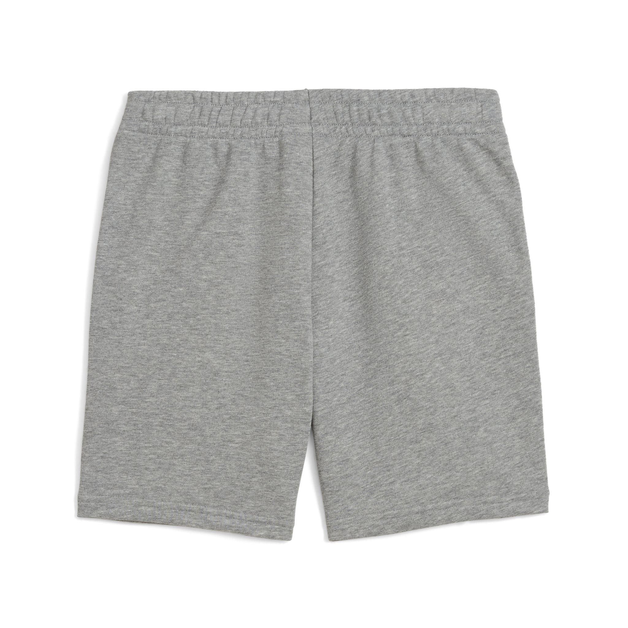 PUMA Essentials 2 Colour No.1 Logo Boys Shorts