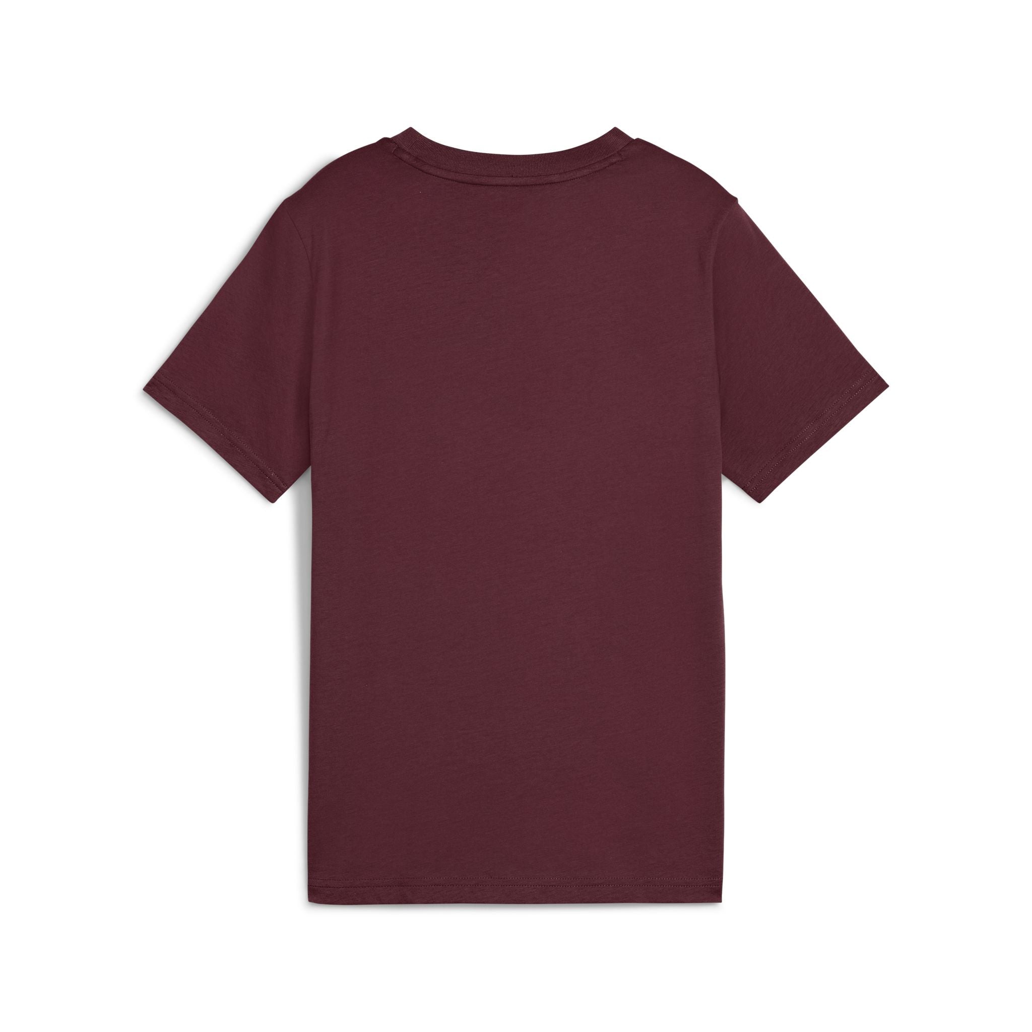 PUMA Essentials 2 Colour No.1 Logo Boys Tee