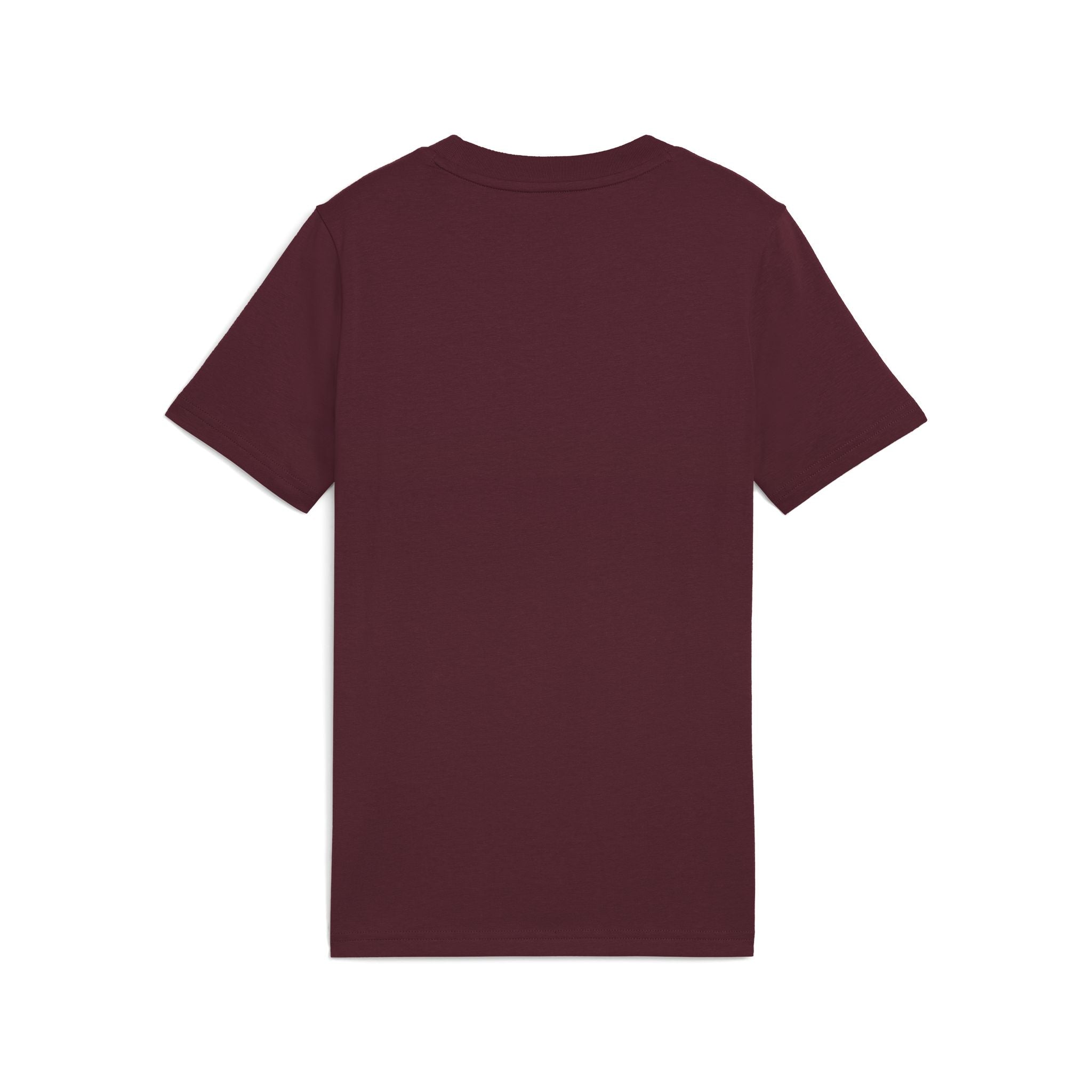 PUMA Essentials Girls Metallic Tee