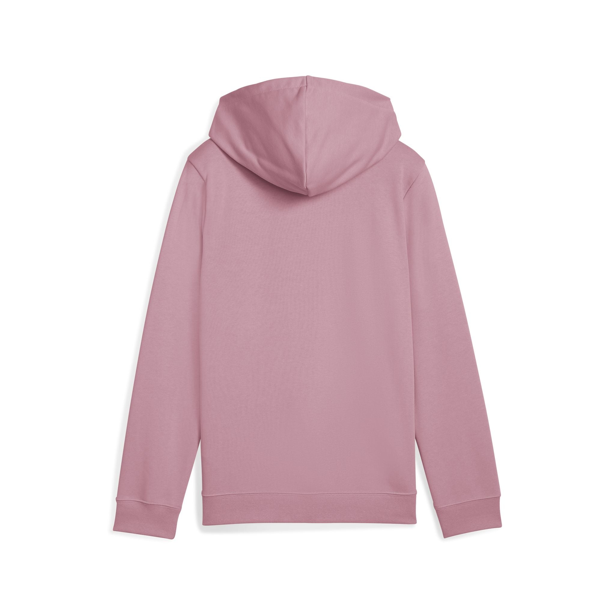 PUMA Essentials No.1 Logo Girls Hoodie